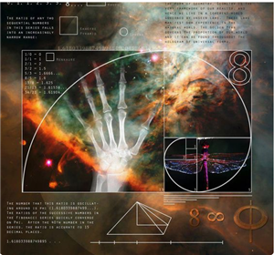 Golden Ratio 